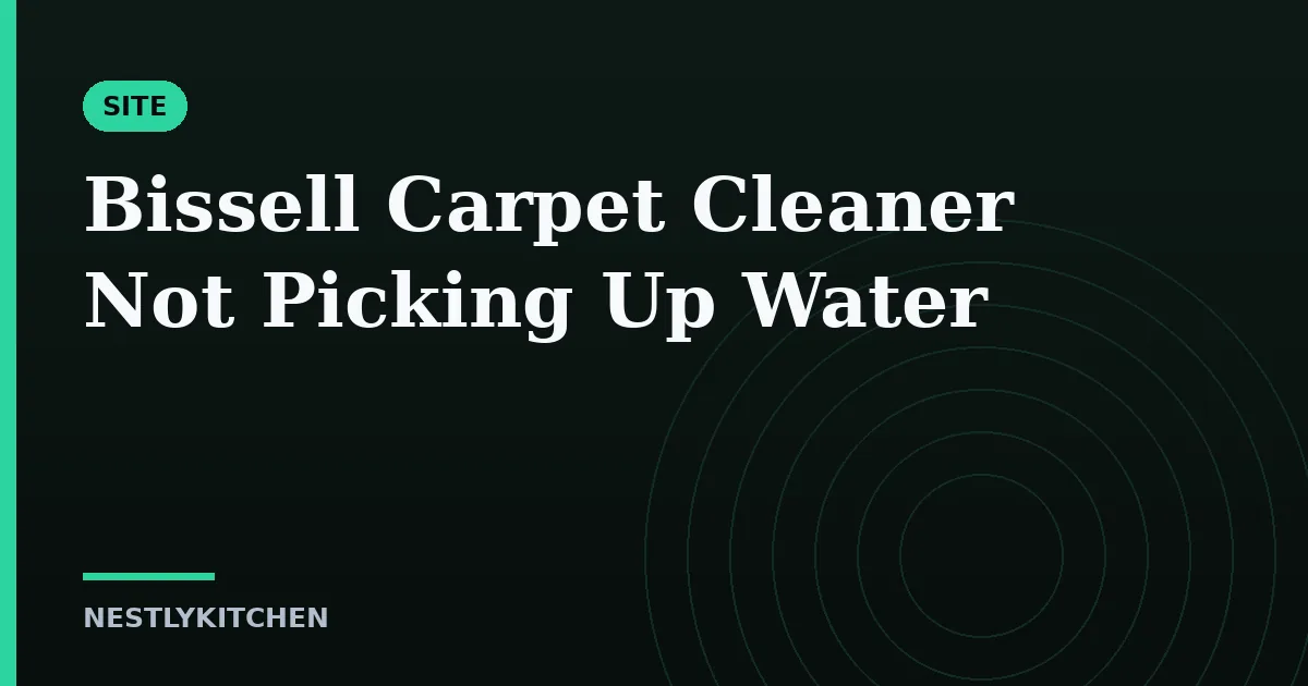 Bissell Carpet Cleaner Not Picking Up Water