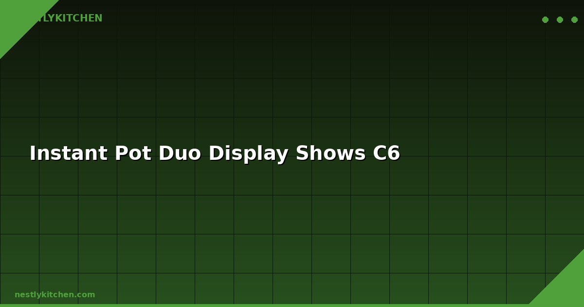 Instant Pot Duo Display Shows C6