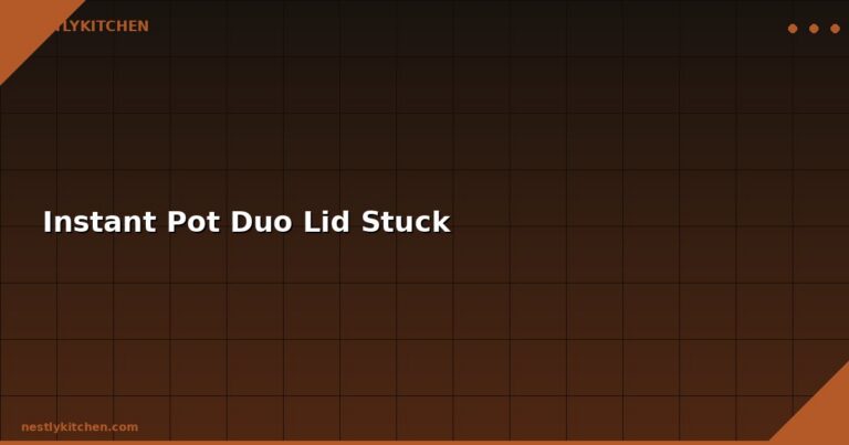 Instant Pot Duo Lid Stuck