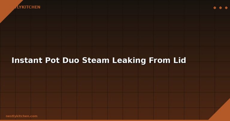 Instant Pot Duo Steam Leaking From Lid