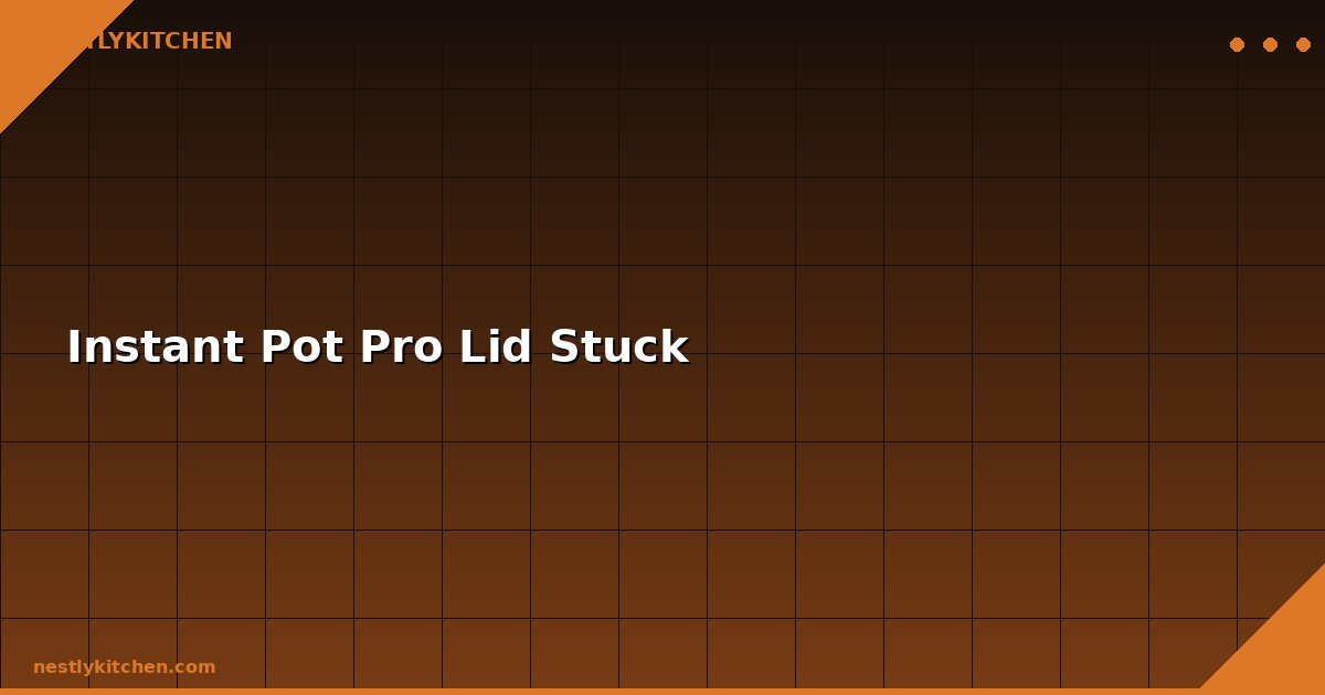 Instant Pot Pro Lid Stuck