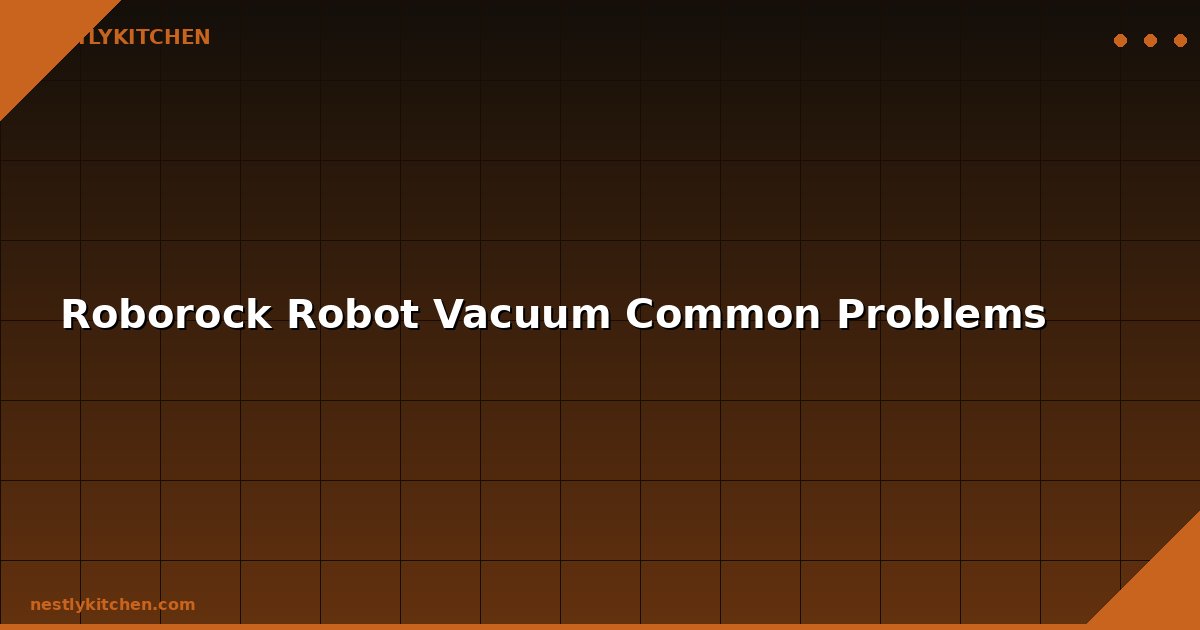 Roborock Robot Vacuum Common Problems