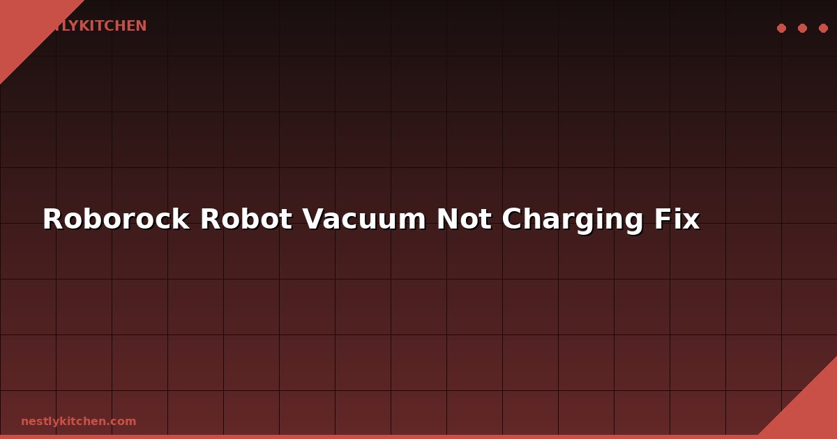 Roborock Robot Vacuum Not Charging Fix