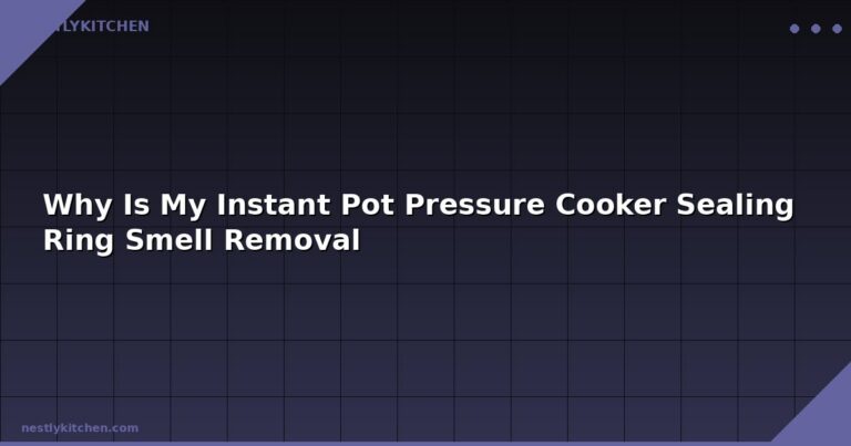 Why Is My Instant Pot Pressure Cooker Sealing Ring Smell Removal