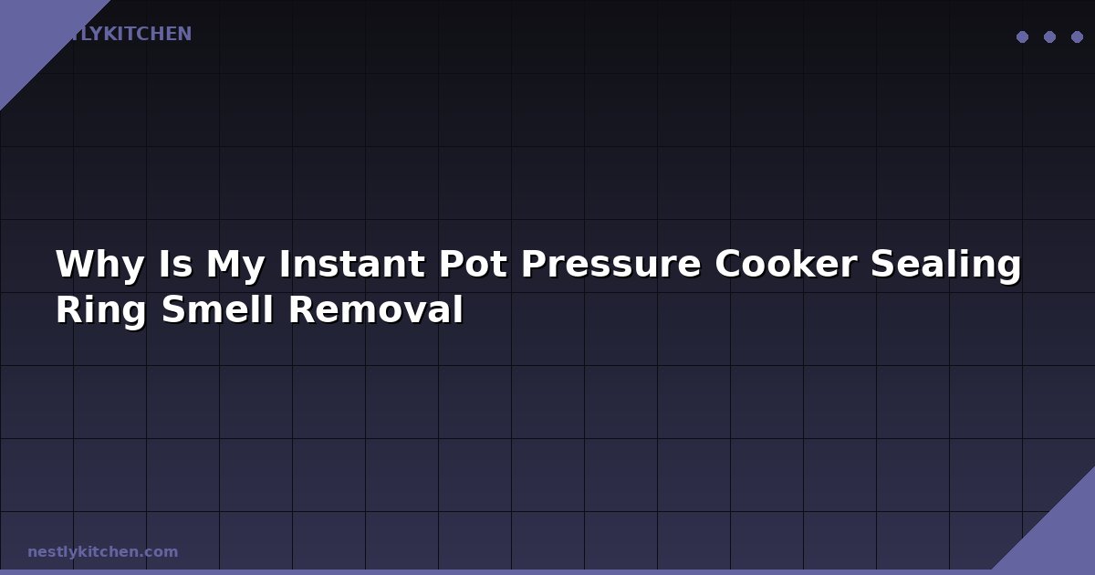 Why Is My Instant Pot Pressure Cooker Sealing Ring Smell Removal