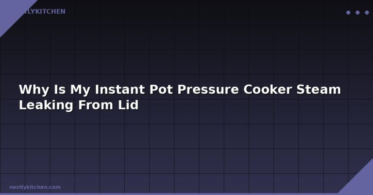 Why Is My Instant Pot Pressure Cooker Steam Leaking From Lid