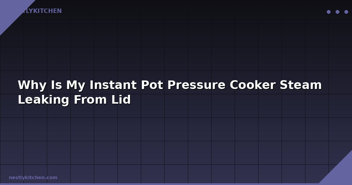 Why Is My Instant Pot Pressure Cooker Steam Leaking From Lid