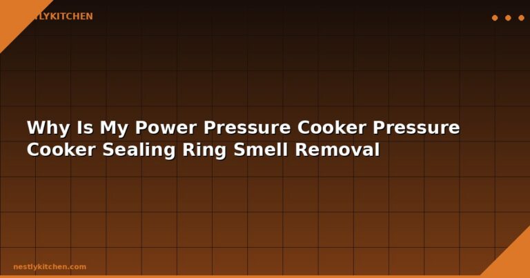 Why Is My Power Pressure Cooker Pressure Cooker Sealing Ring Smell Removal