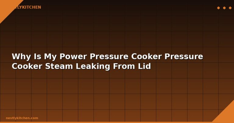 Why Is My Power Pressure Cooker Pressure Cooker Steam Leaking From Lid