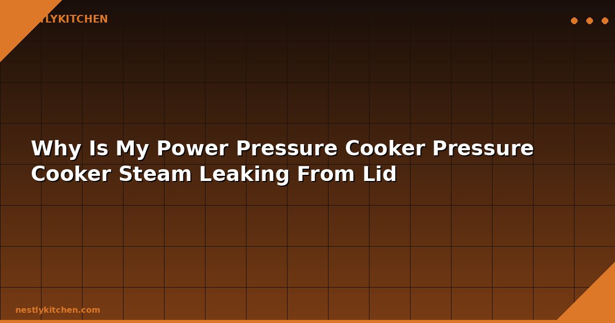 Why Is My Power Pressure Cooker Pressure Cooker Steam Leaking From Lid