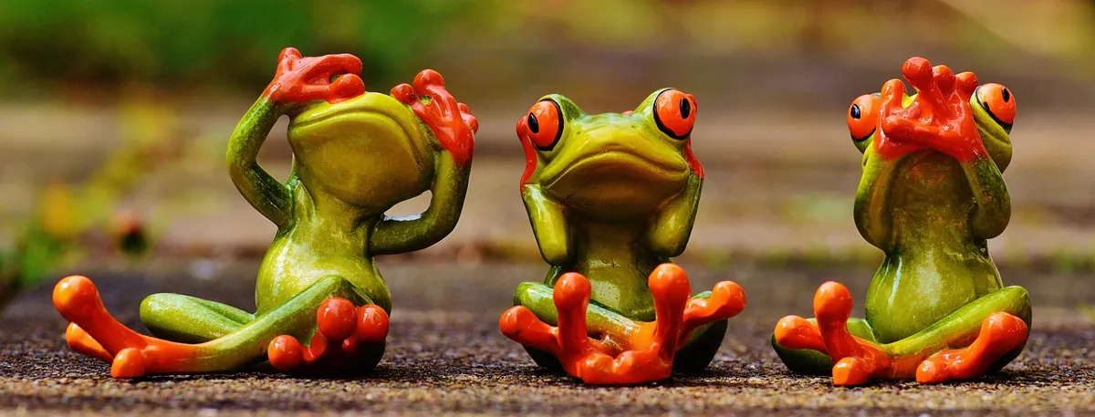 frogs, not see, not hear, do not speak, fun, cute, funny, characters, green, to sit, frog, frogs, funny, funny, funny, funny, funny, frog, frog