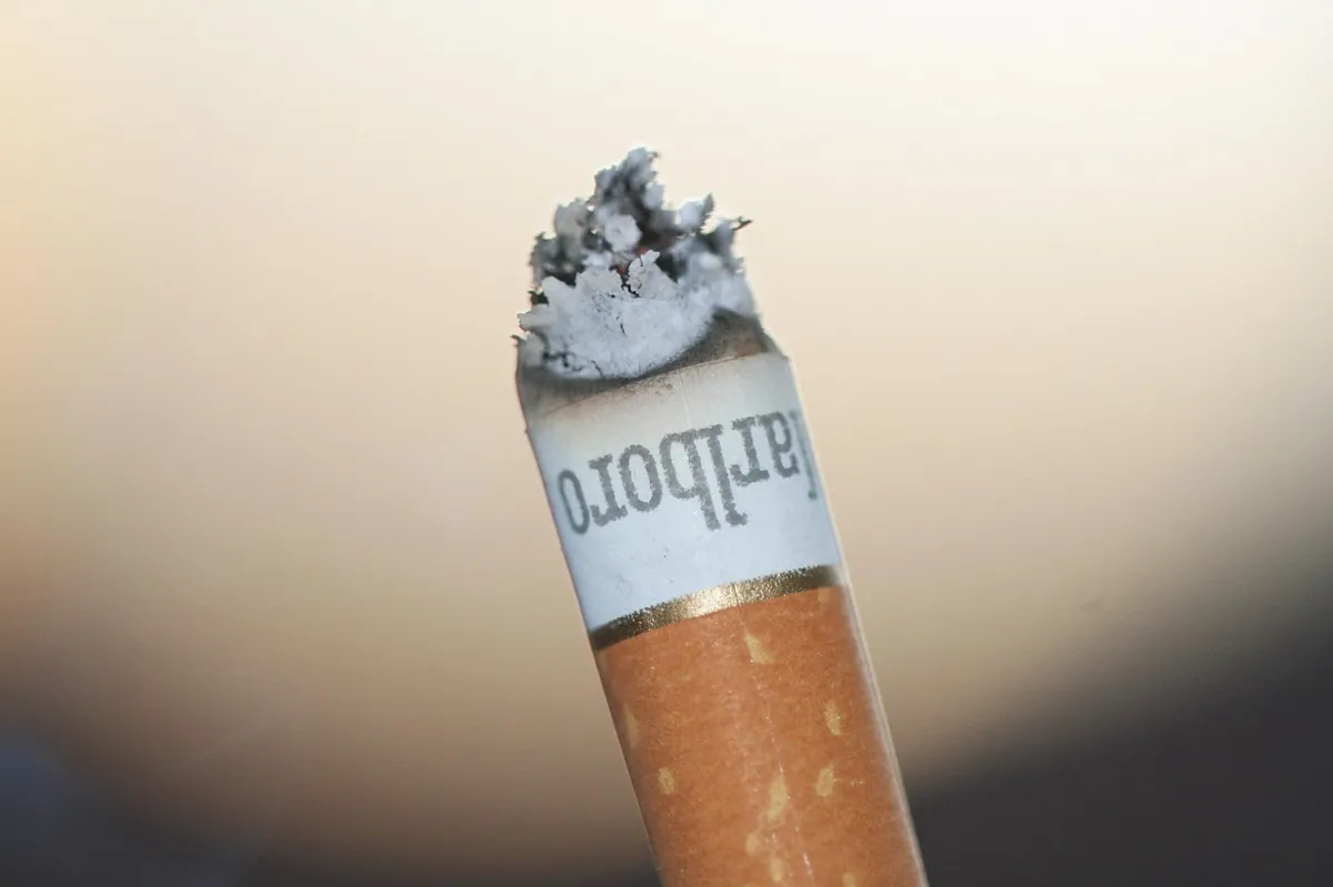 cigarette, damaging, hot, tobacco, drink, dependency, photography, dependent, nicotine, smokey, wont, filter, marlboro, macro, marlboro, marlboro, marlboro, marlboro, marlboro